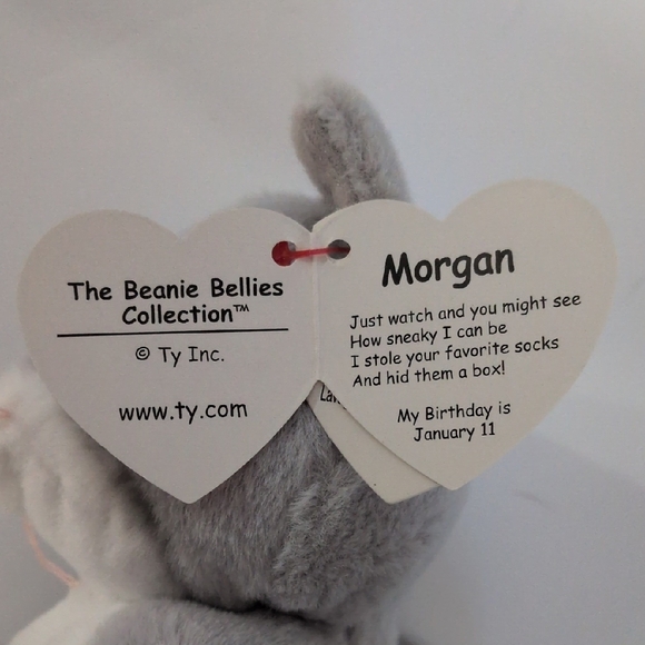 TY Beanie Bellie Kitty Trio - Picture 3 of 11